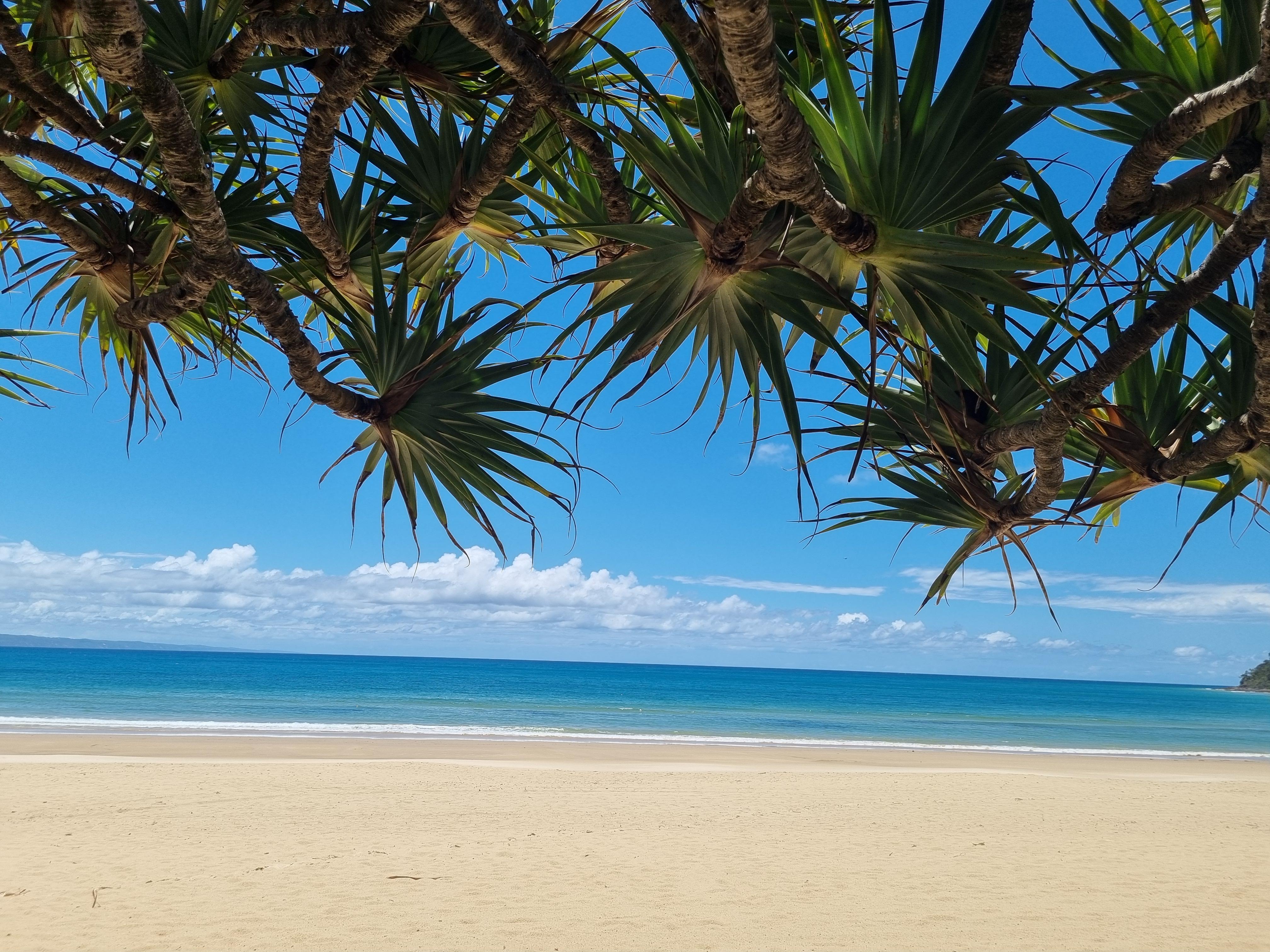 Noosa River Retreat Holiday Apartments Noosaville Eksteriør billede